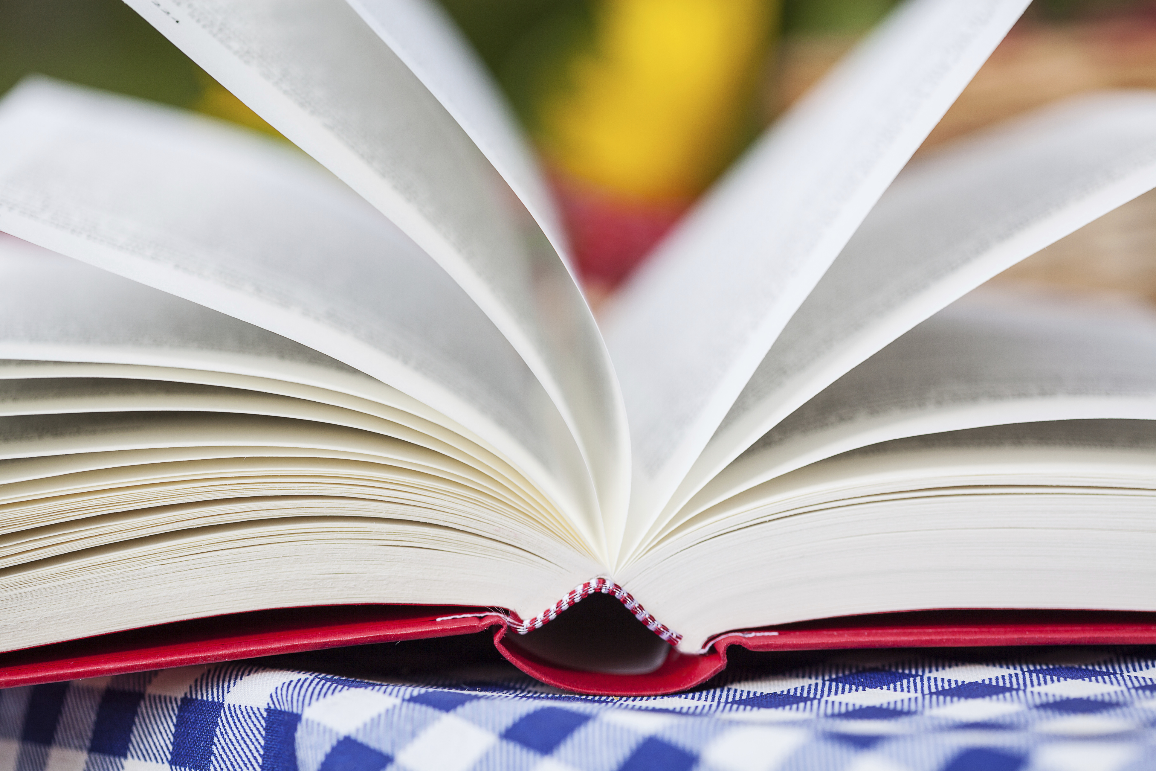 Looking for an Affordable Summer Experience? Read a Book (or Two or More)!
